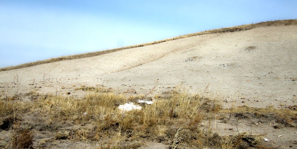 Палеонтологическое обнажение Белая гора